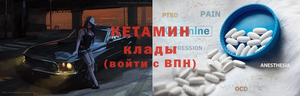 индика Козловка