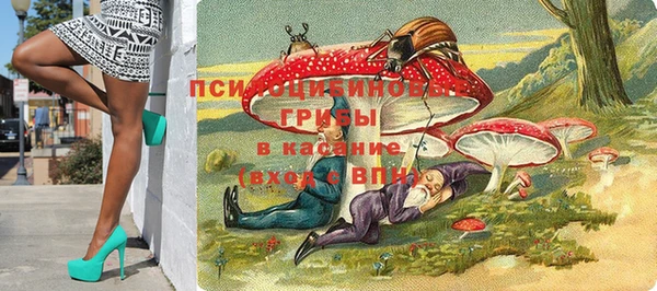 молекула духа Верея