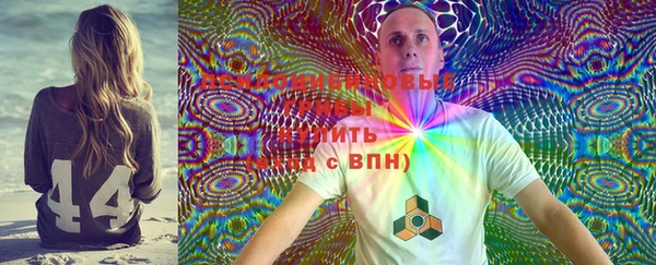 молекула духа Верея