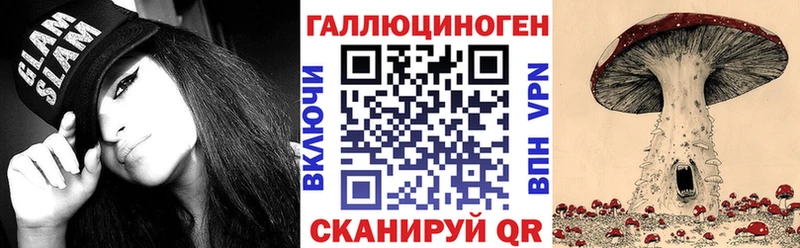 Псилоцибиновые грибы GOLDEN TEACHER  сайты даркнета состав  Касимов  цена  