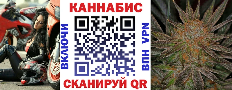Каннабис гибрид  Касимов 